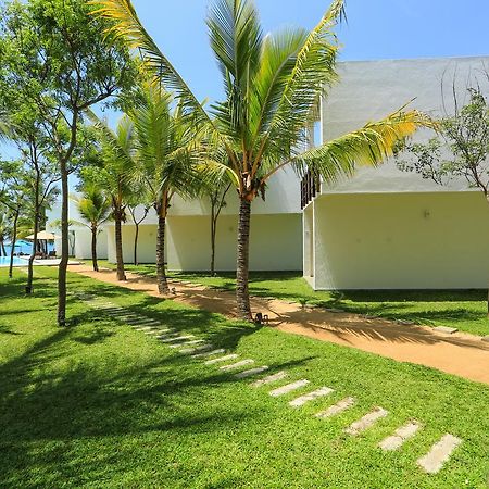 Hotel Arugambay Roccos à Baie d'Arugam Extérieur photo