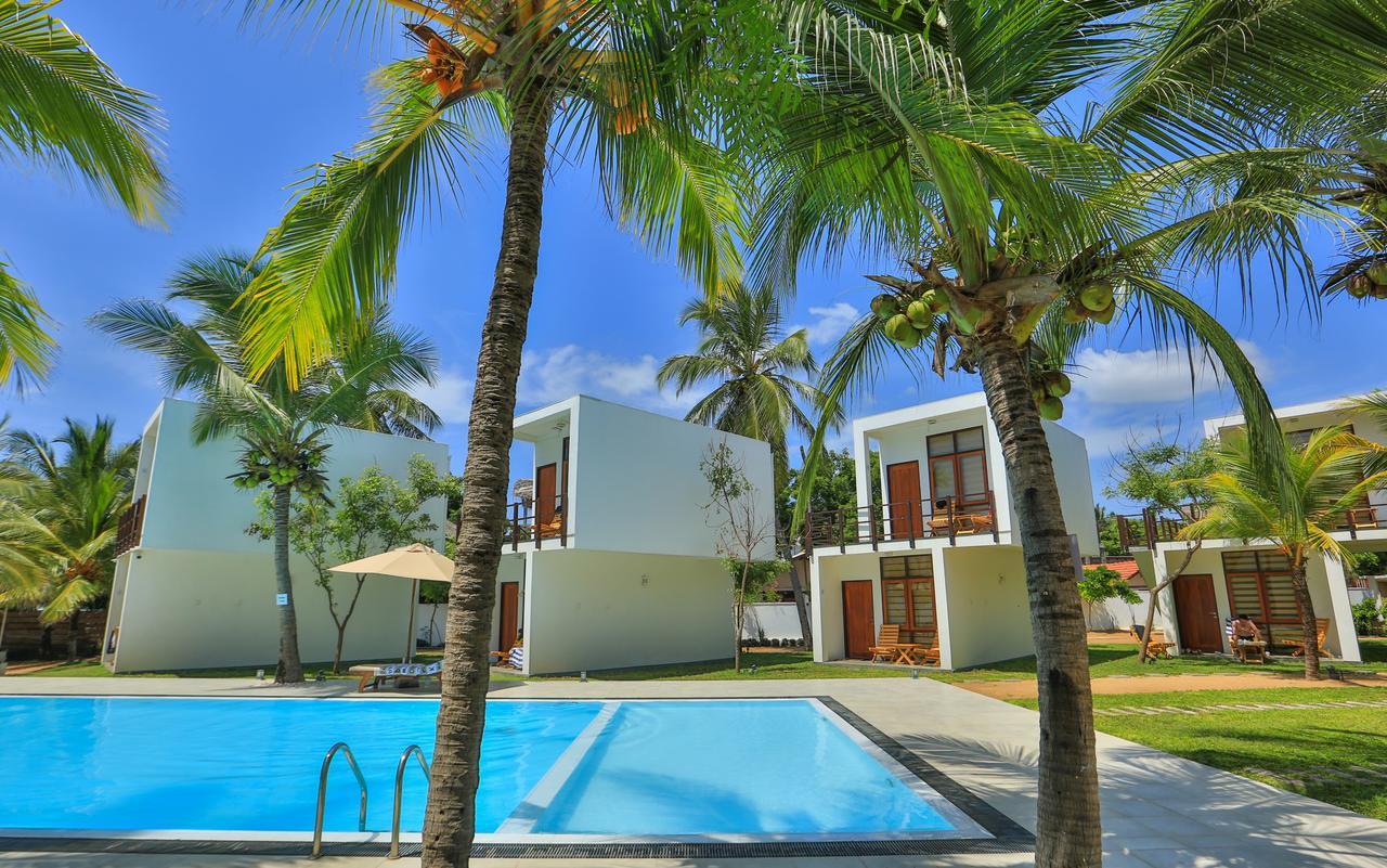 Hotel Arugambay Roccos à Baie d'Arugam Extérieur photo