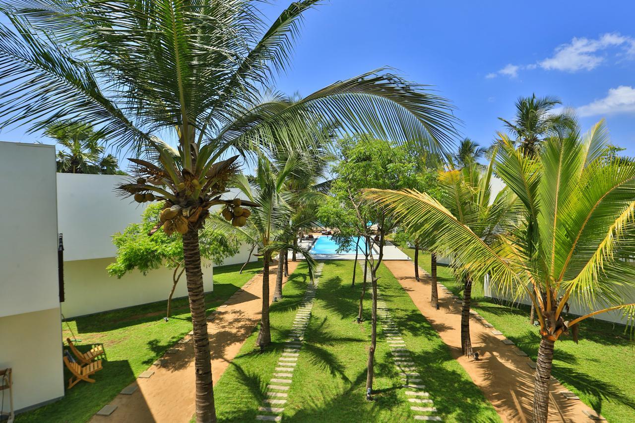 Hotel Arugambay Roccos à Baie d'Arugam Extérieur photo